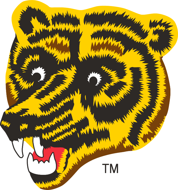 Boston Bruins 1976-1995 Alternate Logo iron on transfers for fabric